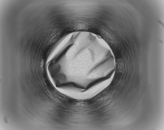 X0000096130550200802081328