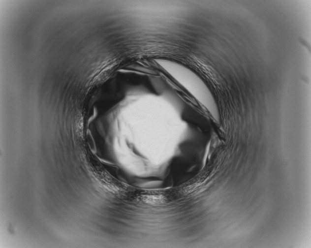 X0000096130552200802081328