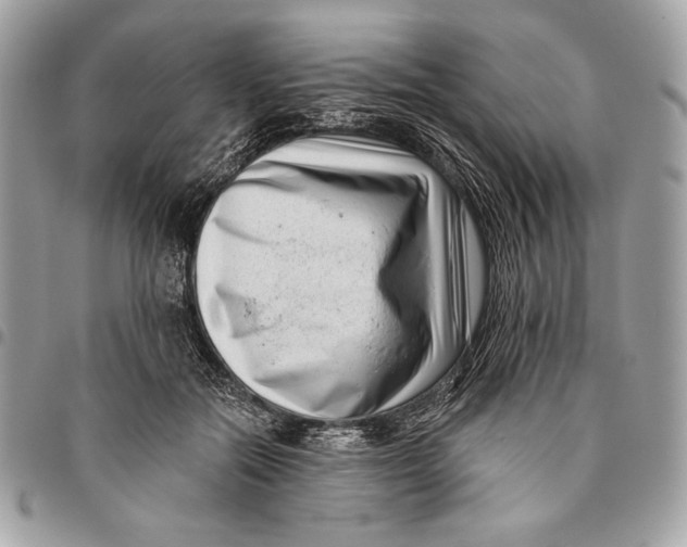 X0000096130554200802081328