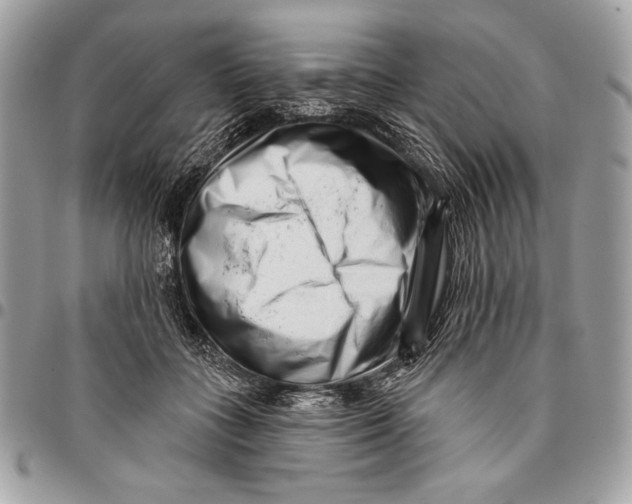 X0000096130555200802081328