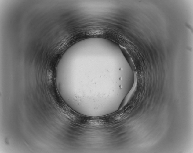X0000096130556200802081328