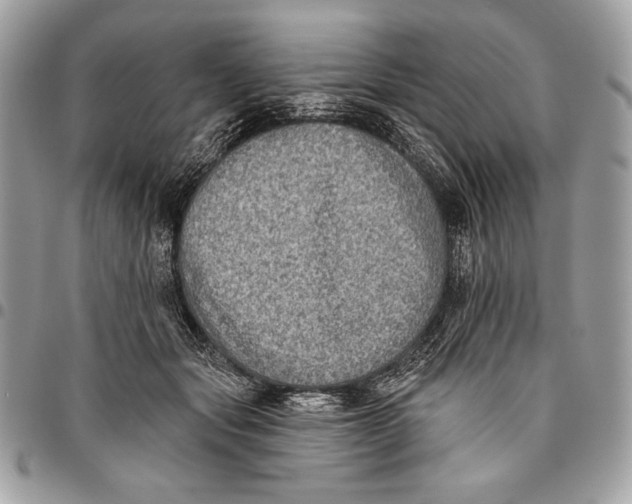 X0000096130557200802081328