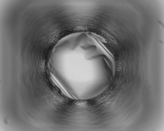X0000096130560200802081328