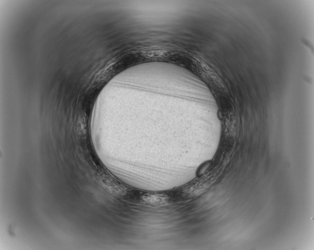X0000096130561200802081328