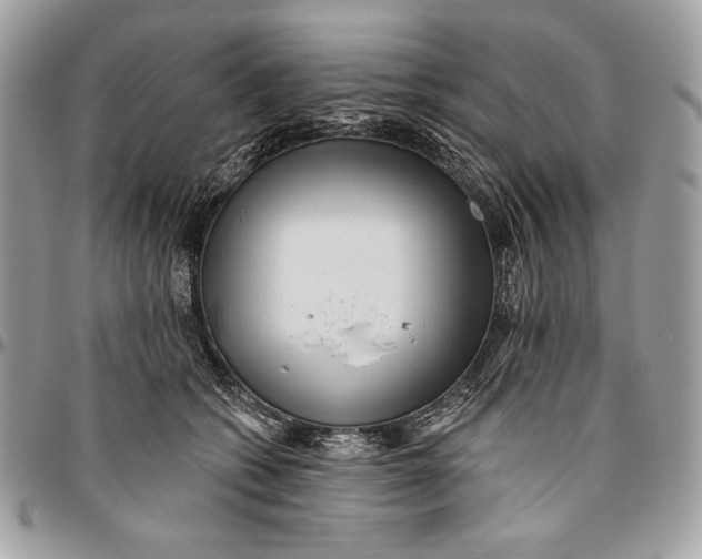 X0000096130562200802081328