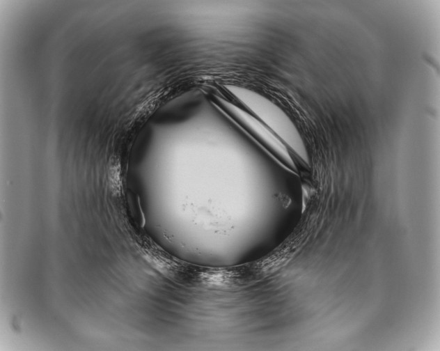 X0000096130564200802081328
