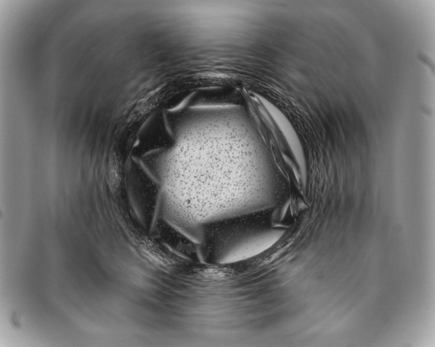 X0000096130566200802081328