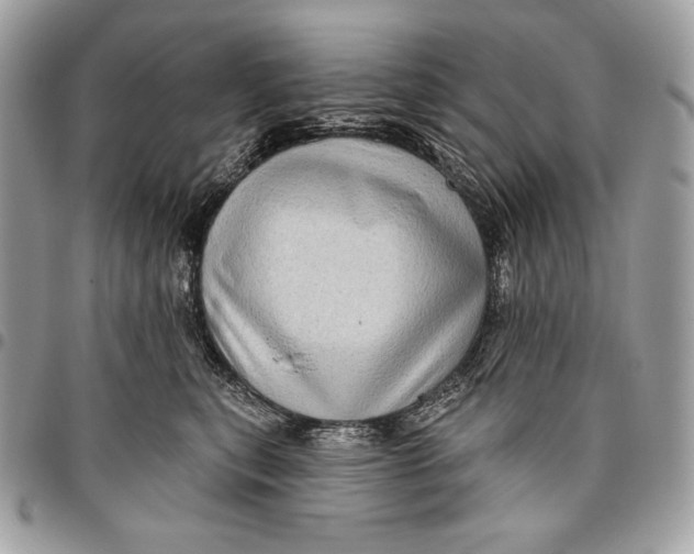 X0000096130567200802081328
