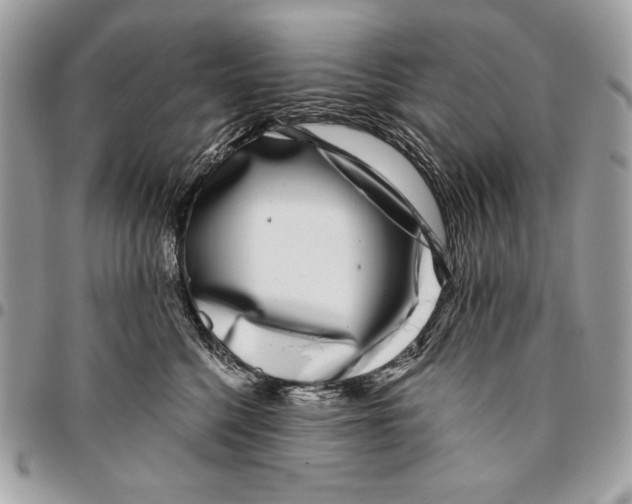 X0000096130568200802081328