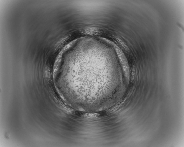 X0000096130569200802081328