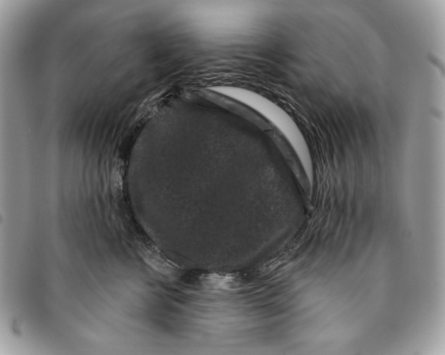 X0000096130570200802081328