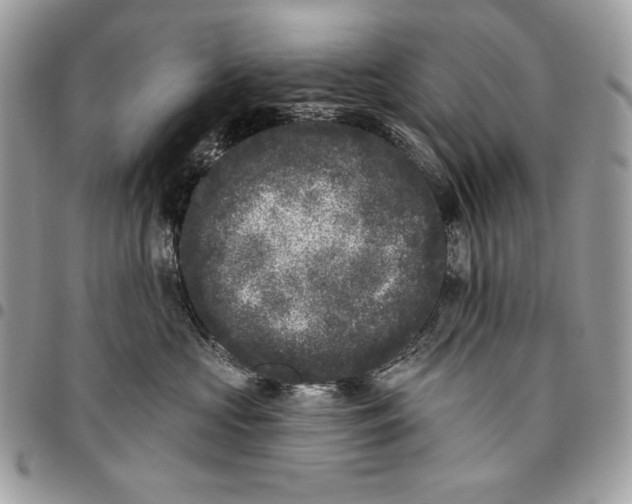 X0000096130573200802081328