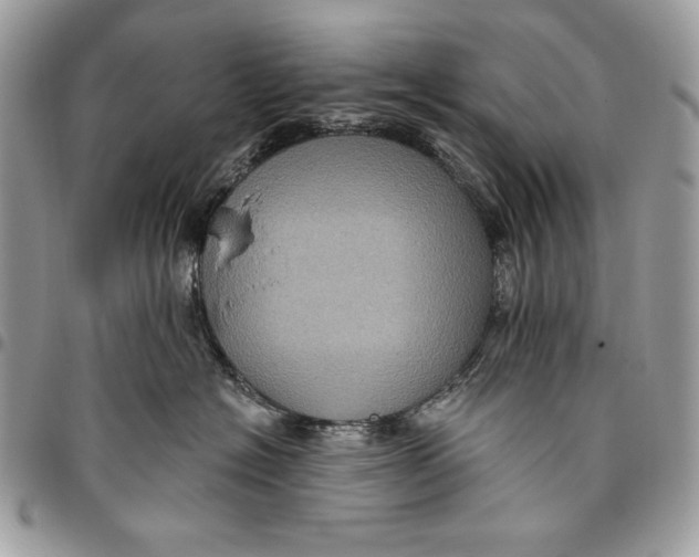 X0000096130574200802081328