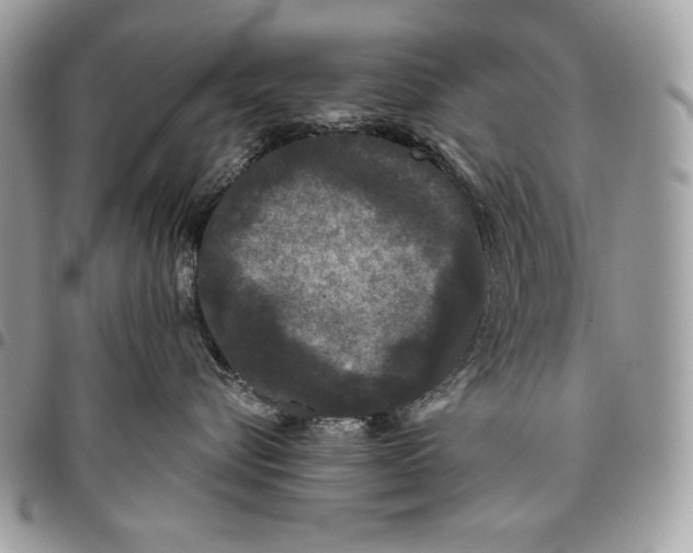 X0000096130576200802081328