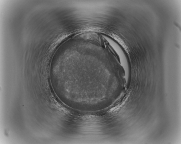 X0000096130577200802081328