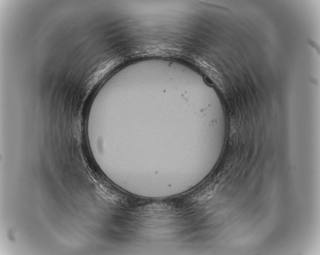 X0000096130578200802081328