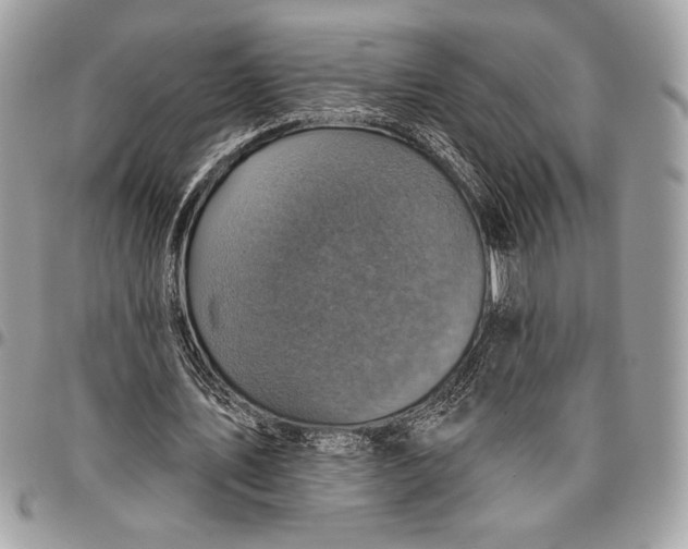 X0000096130579200802081328