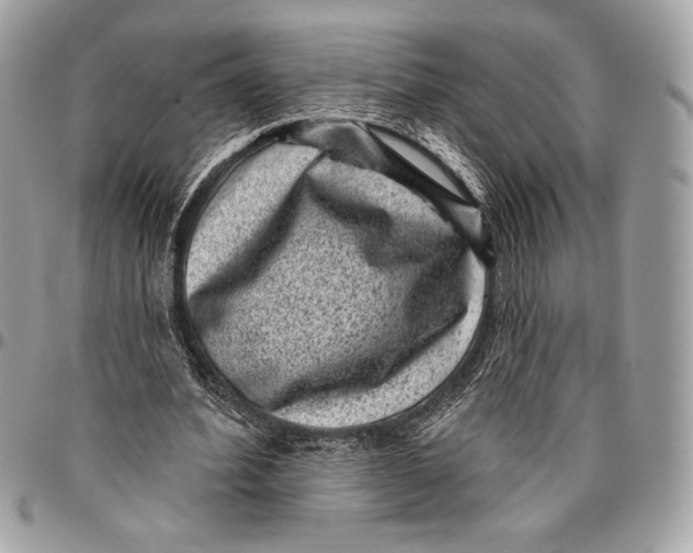 X0000096130580200802081328