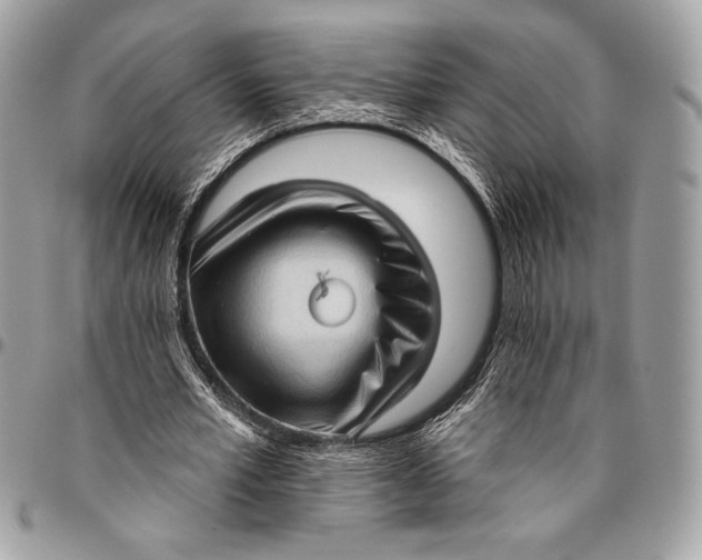 X0000096130581200802081328