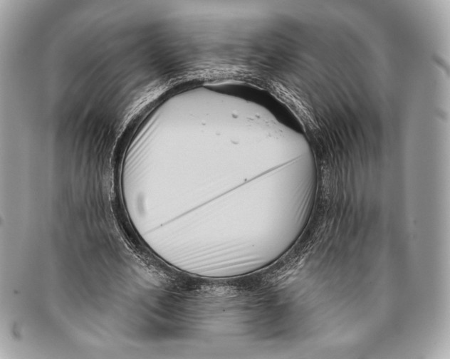 X0000096130582200802081328