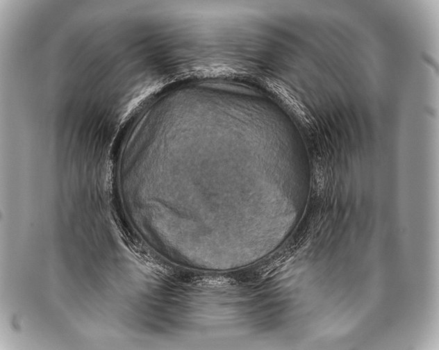 X0000096130583200802081328