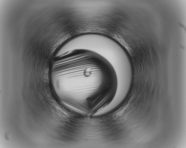 X0000096130585200802081328