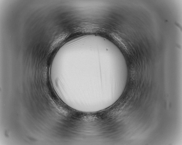X0000096130586200802081328