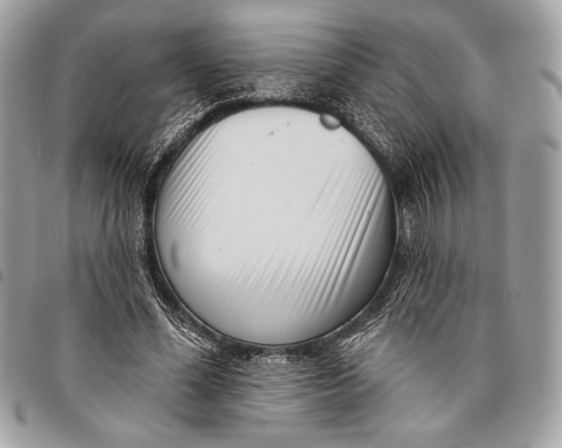 X0000096130588200802081327