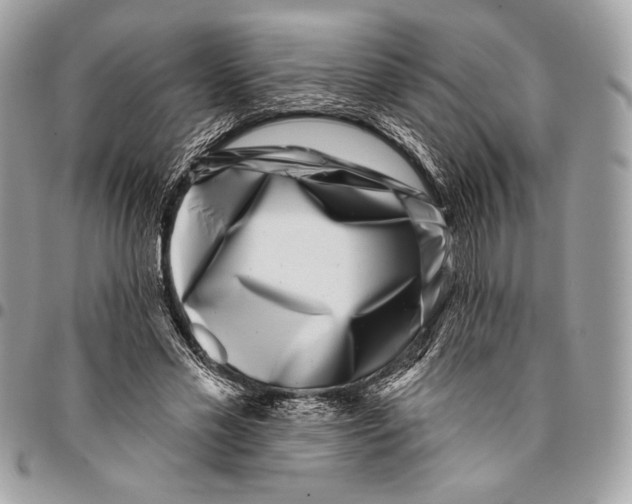 X0000096130589200802081327