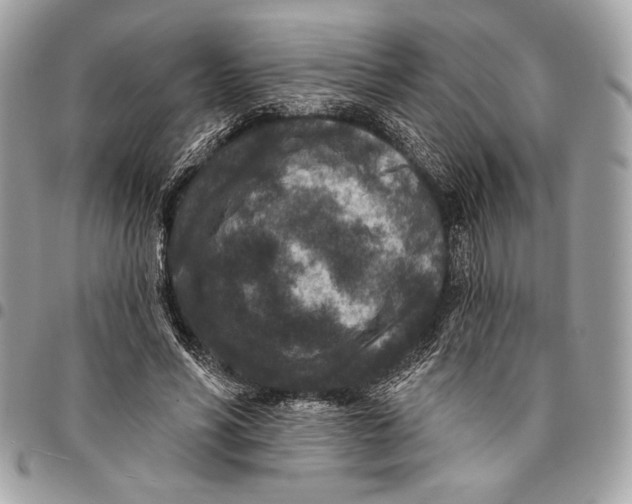 X0000096130590200802081327