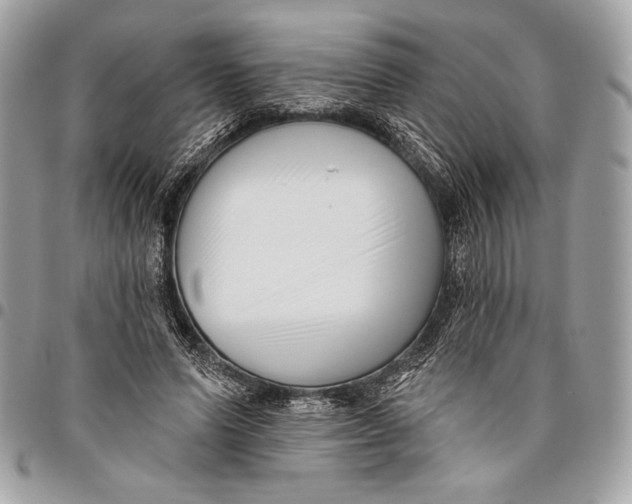 X0000096130591200802081327
