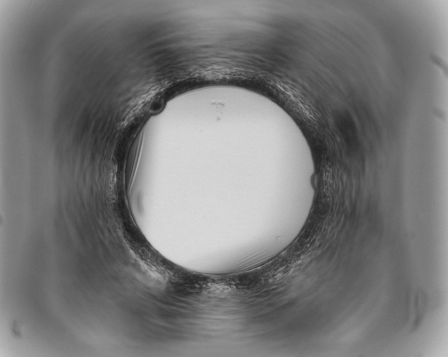 X0000096130592200802081327