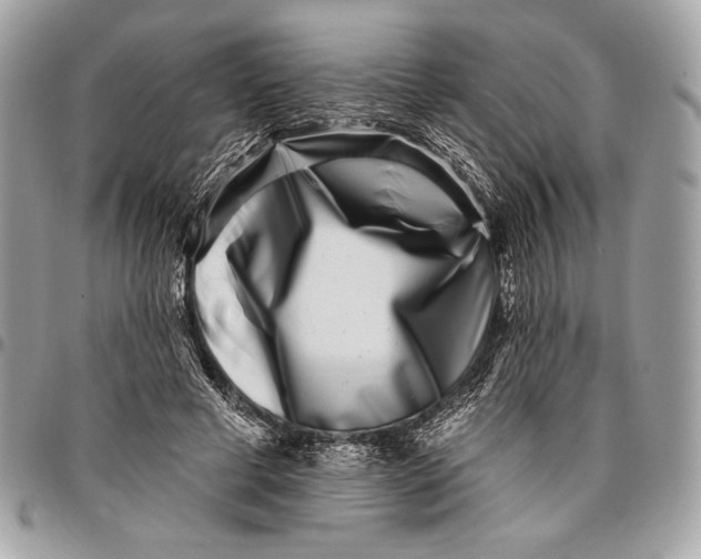 X0000096130593200802081327