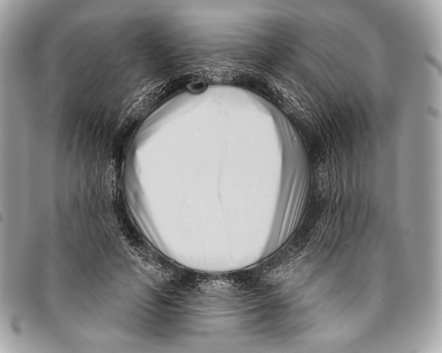 X0000096130594200802081327