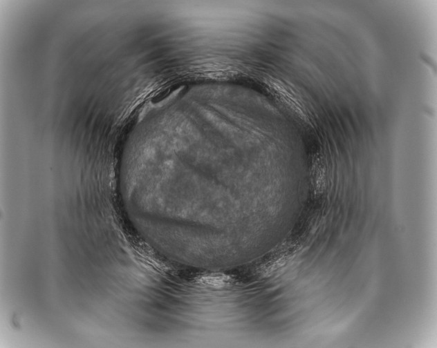 X0000096130595200802081327