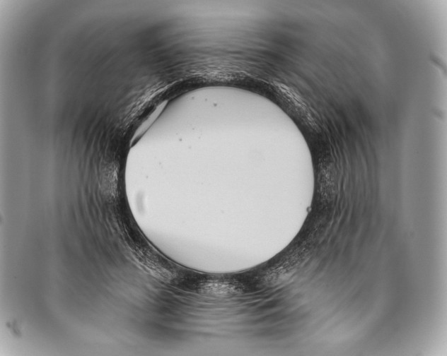 X0000096130596200802081327