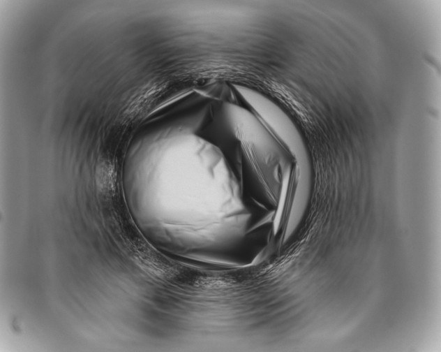 X0000096130597200802081327