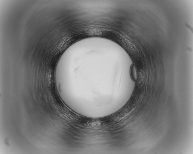 X0000096130600200802081327
