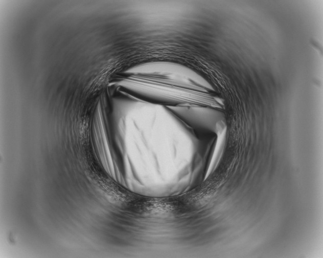 X0000096130601200802081327