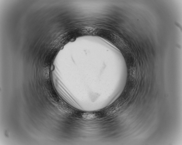 X0000096130602200802081327