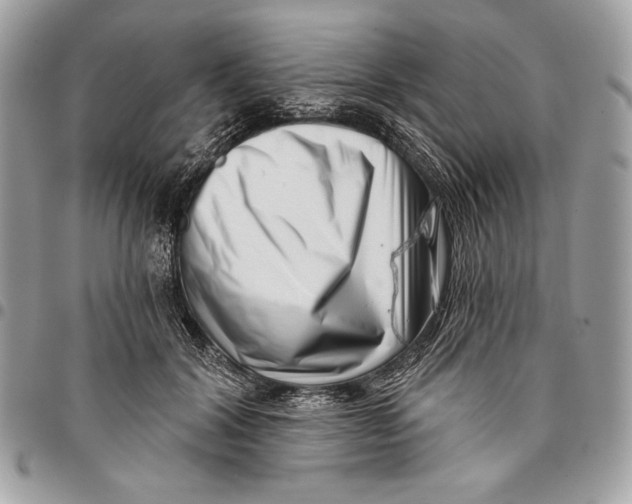 X0000096130604200802081327