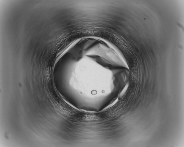 X0000096130605200802081327