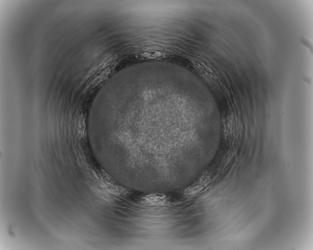 X0000096130606200802081327