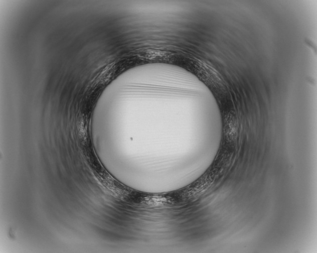 X0000096130607200802081327