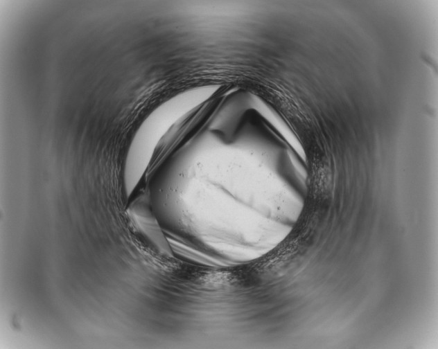 X0000096130609200802081327