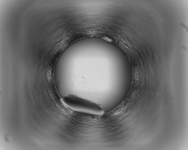 X0000096130611200802081327