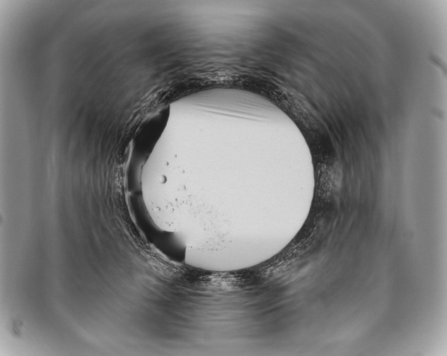 X0000096130612200802081327