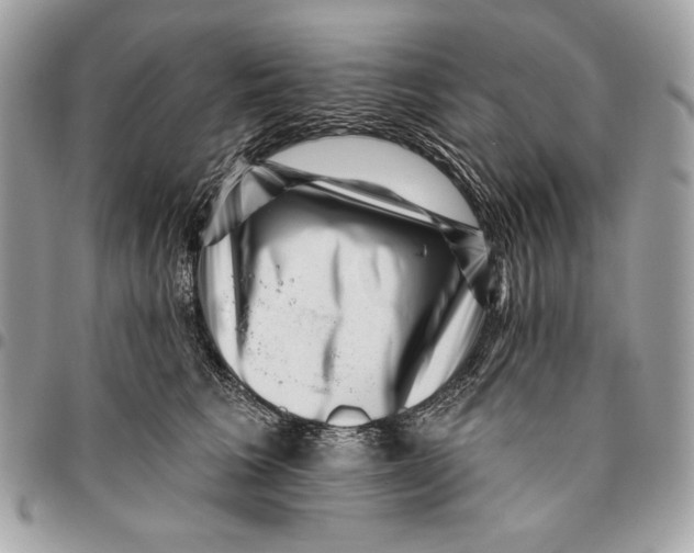 X0000096130613200802081327