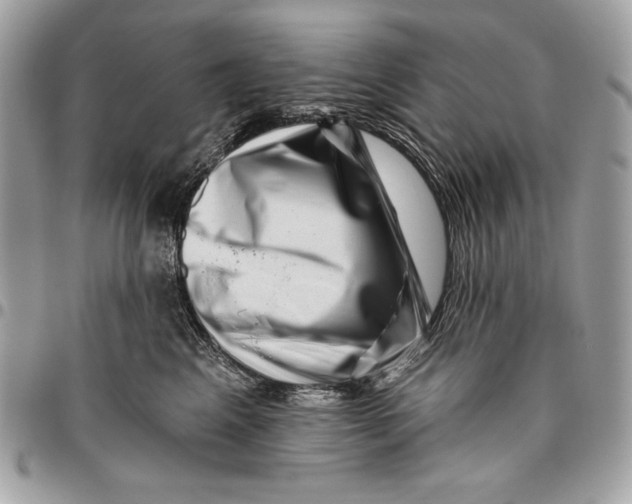 X0000096130617200802081327