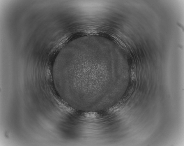 X0000096130618200802081327